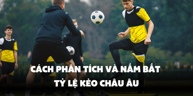 Kèo Châu Âu Vin777 – Cách Chơi Đơn Giản, Dễ Hiểu Cho Người Mới 3 Tỷ lệ cược kèo rõ ràng